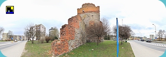 greifenhagen04r_prv.jpg